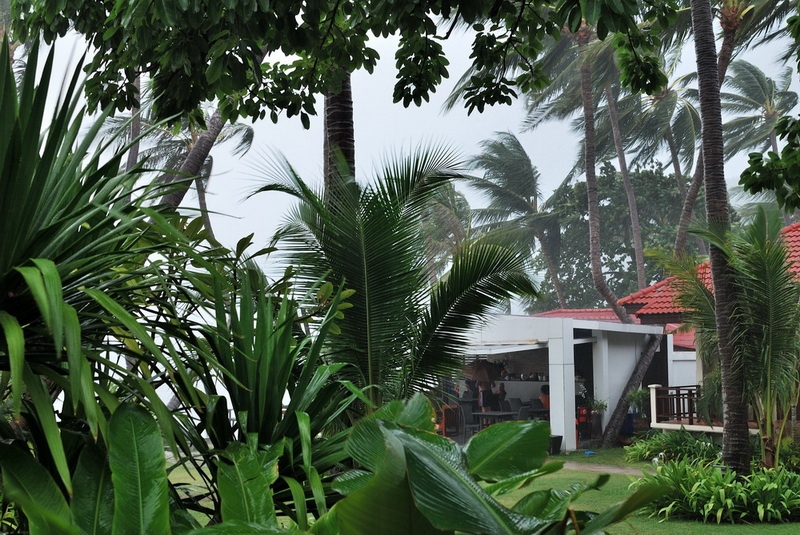 Самуи + Тао (сентябрь 2013) - ФОТО