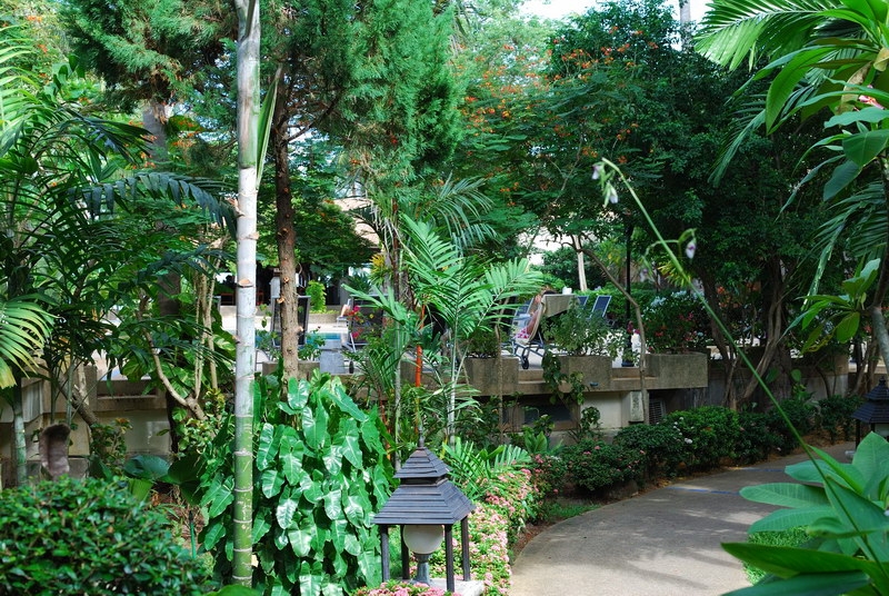 Самуи + Тао (сентябрь 2013) - ФОТО