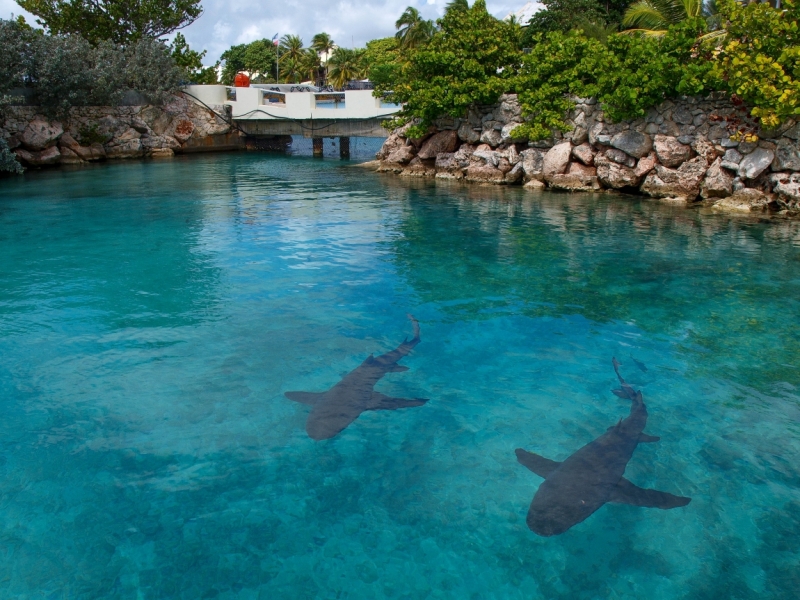 Curacao пляжи