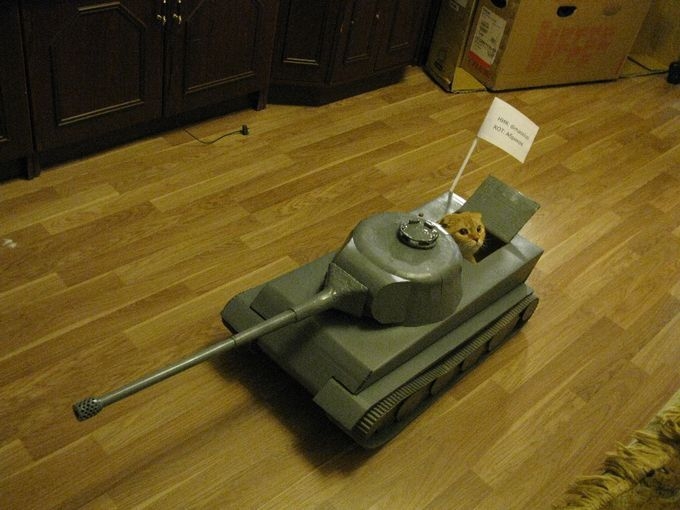 Поговорим о кошках 28