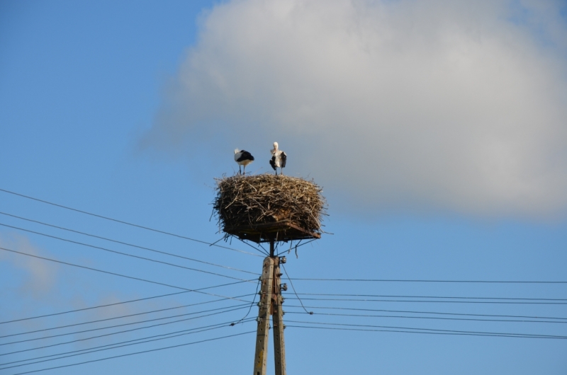 Казань-Краков-Освенцим-Прага-Лидо-Адриано-Прага-Казань 2013 - Santa Fe покоряет Европу
