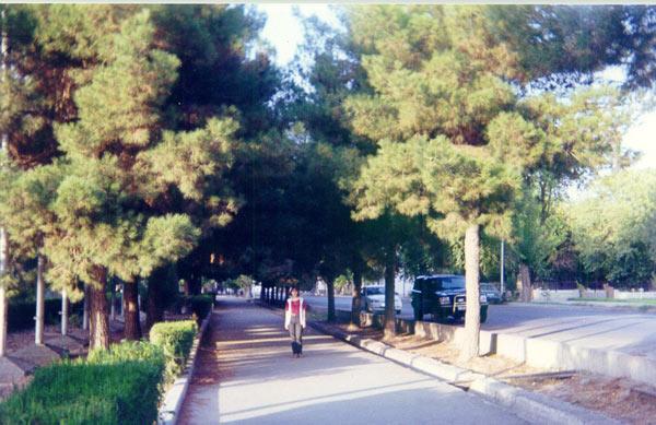 Туркменистан (Туркмения)