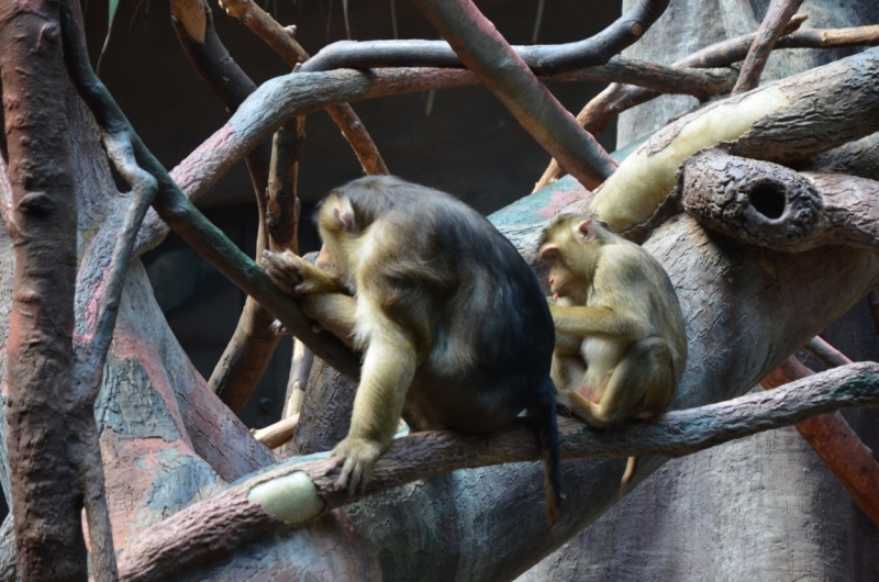 Казань-Краков-Освенцим-Прага-Лидо-Адриано-Прага-Казань 2013 - Santa Fe покоряет Европу