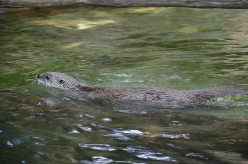 Казань-Краков-Освенцим-Прага-Лидо-Адриано-Прага-Казань 2013 - Santa Fe покоряет Европу