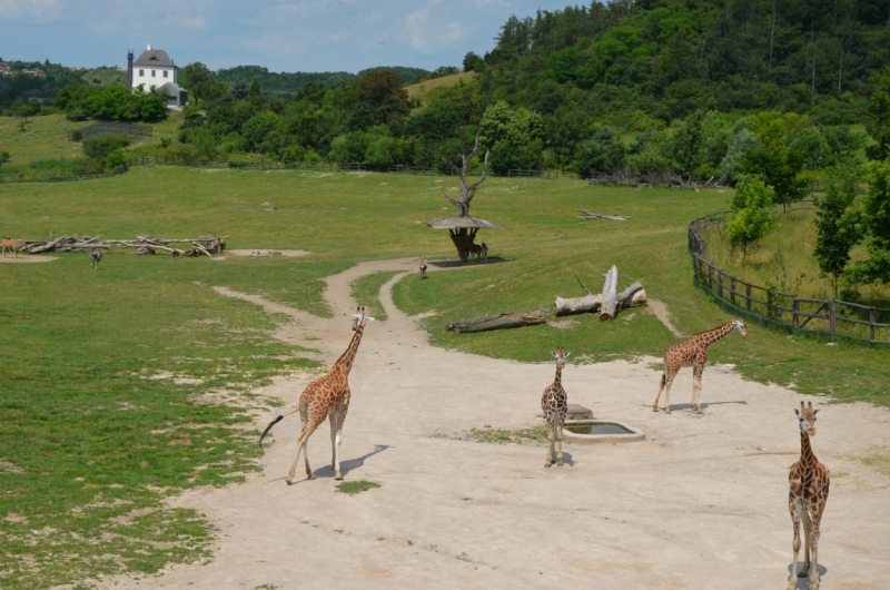 Казань-Краков-Освенцим-Прага-Лидо-Адриано-Прага-Казань 2013 - Santa Fe покоряет Европу