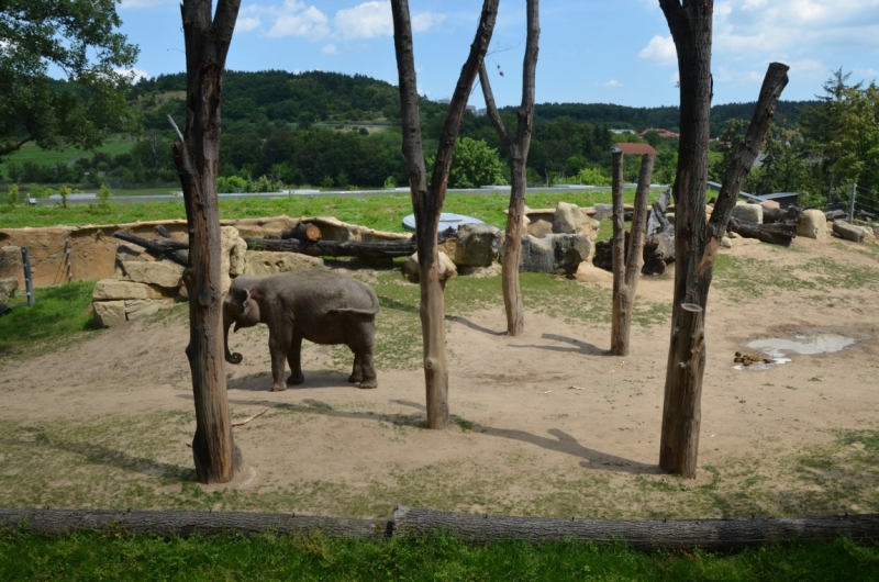 Казань-Краков-Освенцим-Прага-Лидо-Адриано-Прага-Казань 2013 - Santa Fe покоряет Европу