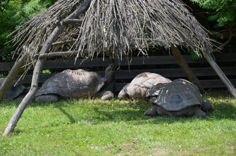 Казань-Краков-Освенцим-Прага-Лидо-Адриано-Прага-Казань 2013 - Santa Fe покоряет Европу