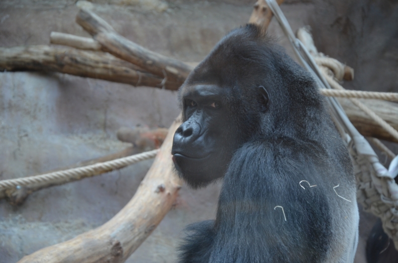 Казань-Краков-Освенцим-Прага-Лидо-Адриано-Прага-Казань 2013 - Santa Fe покоряет Европу