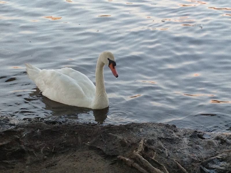 Казань-Краков-Освенцим-Прага-Лидо-Адриано-Прага-Казань 2013 - Santa Fe покоряет Европу