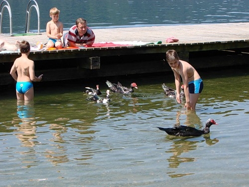 Немножко Австрии. Из Дубны и обратно. Много фотографий.