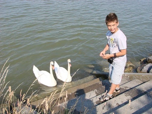 Немножко Австрии. Из Дубны и обратно. Много фотографий.