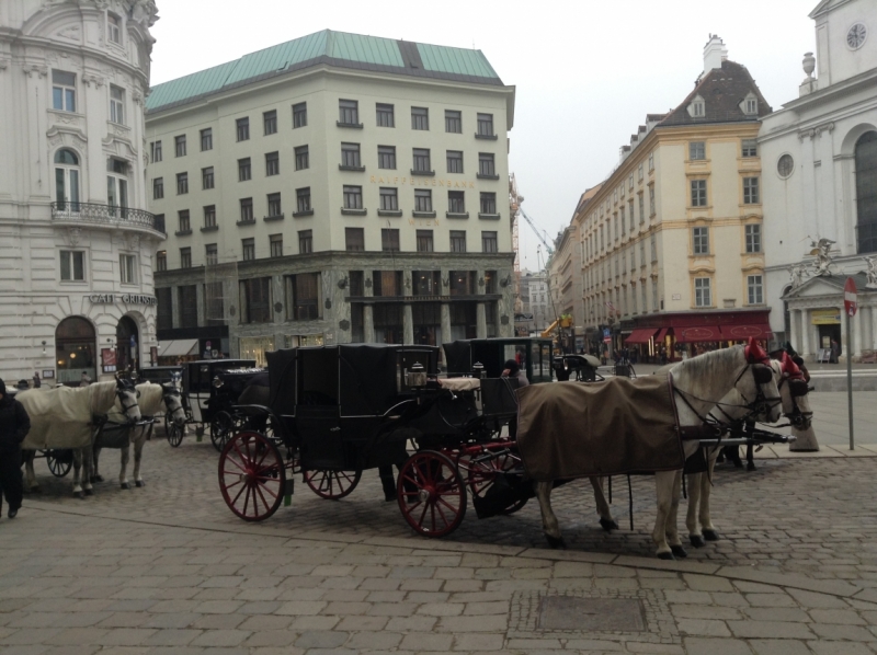 Австрия. Вена. Январь 2014. Фотоотчет с деталями. Австрия. Вена. Январь 2014. Фотоотчет с деталями.