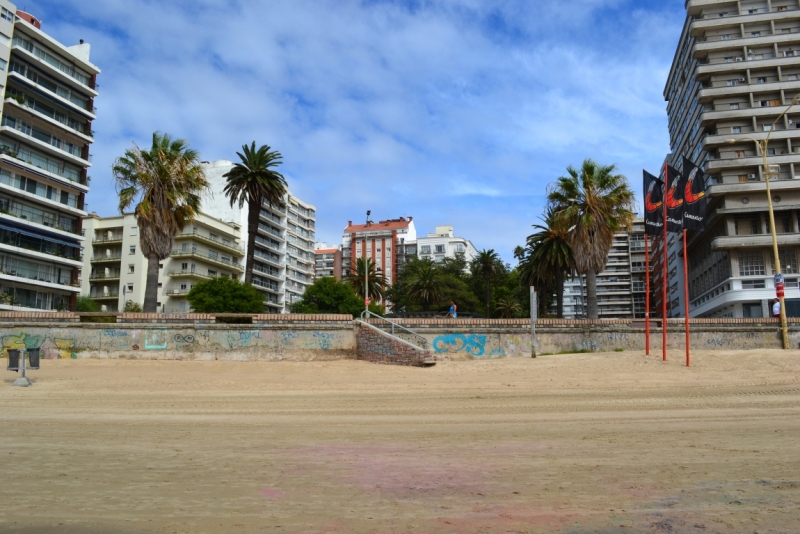 Рио-Буэнос-Айрес-Монтевидео-карнавал в Рио 2014