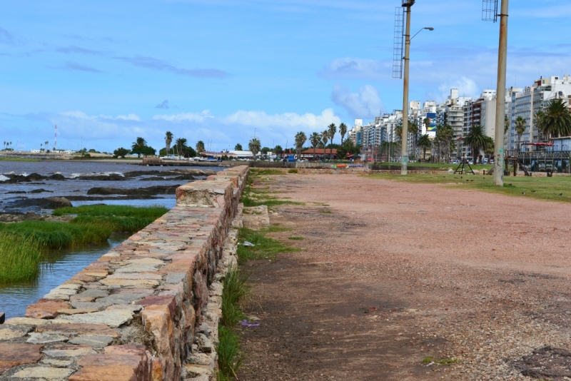 Рио-Буэнос-Айрес-Монтевидео-карнавал в Рио 2014