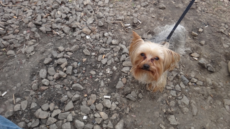 Стрелка в Е-бурге 01.05.14