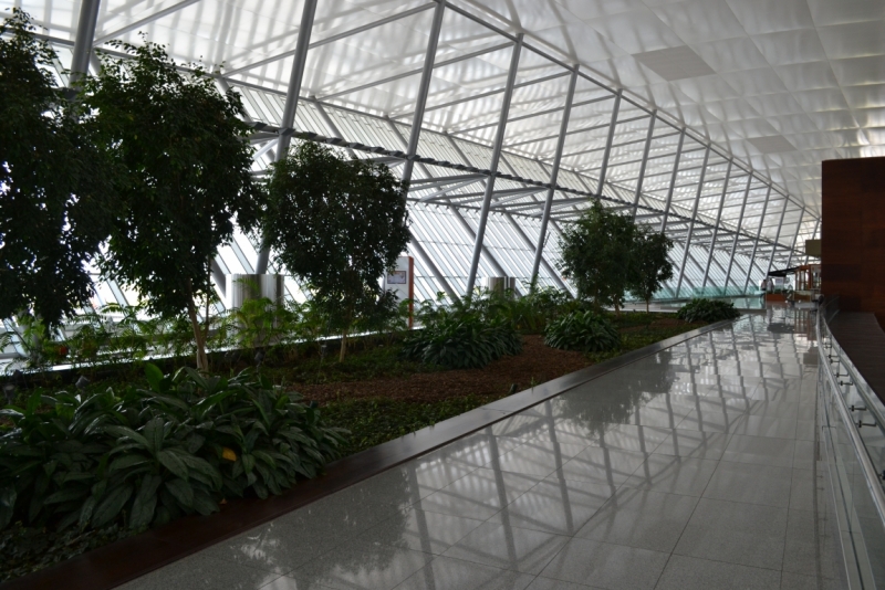 Рио-Буэнос-Айрес-Монтевидео-карнавал в Рио 2014