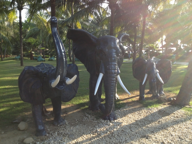 Март 2014: Фукуок- Хошимин- Начанг- Хошимин