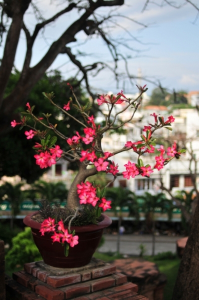 Март 2014: Фукуок- Хошимин- Начанг- Хошимин