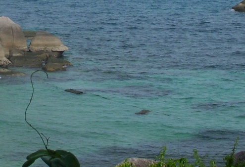 Дженсом Бей плотики 2