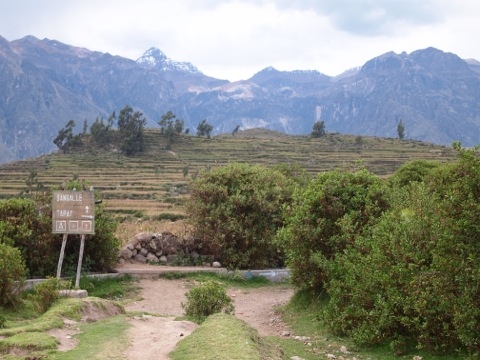 Перу за 11 дней, апрель 2014