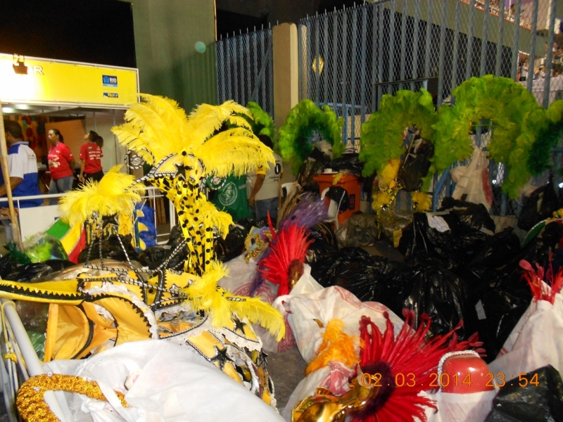 Рио-Буэнос-Айрес-Монтевидео-карнавал в Рио 2014