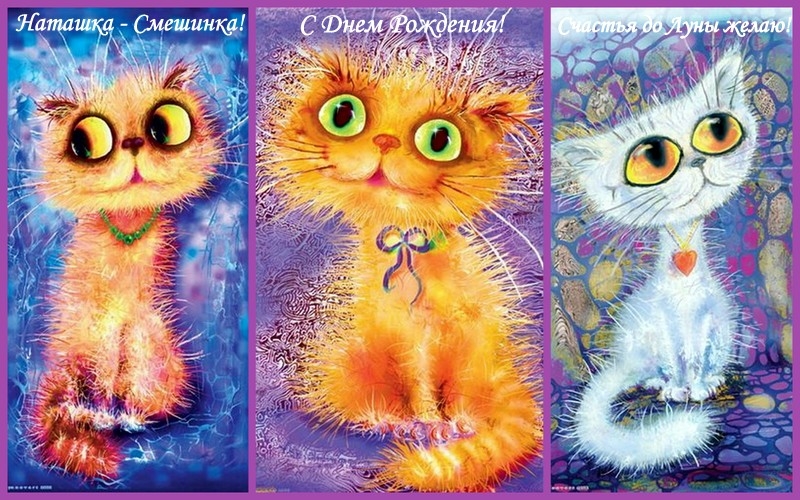 Поздравление наташке. Веселые открытки. Смешные открытки. Классные открытки. Поздравления с днём рождения с котами.