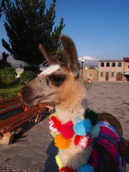 Перу за 11 дней, апрель 2014