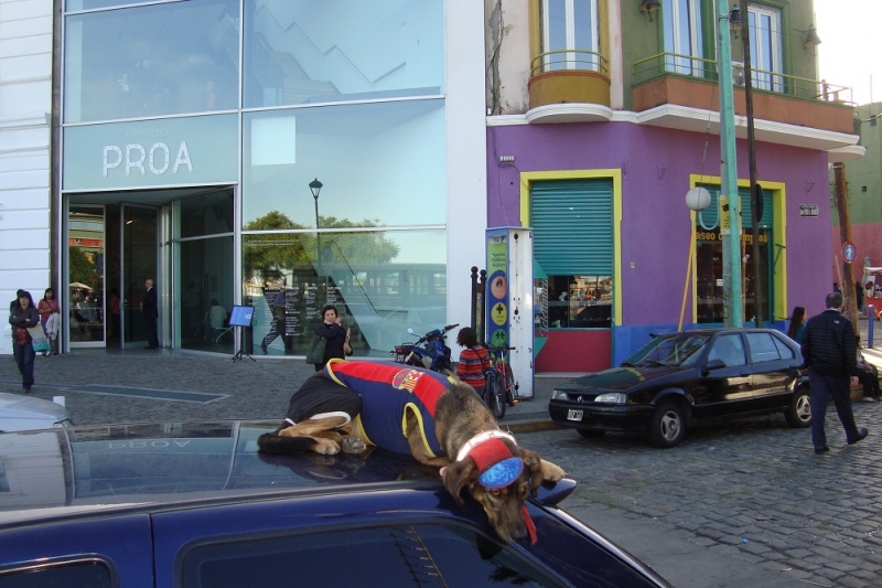 Аргентина и Уругвай или где пенка шире горшка (том 1).Фото+