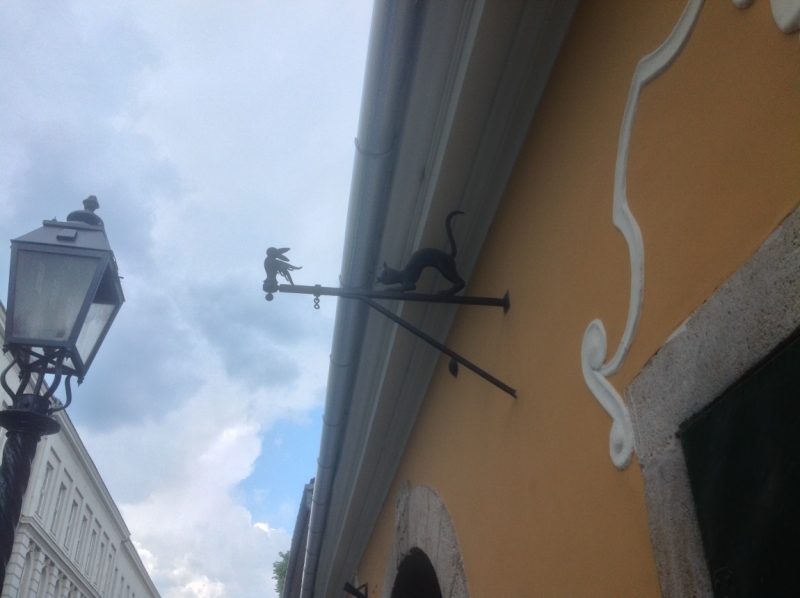 Поговорим о кошках 28