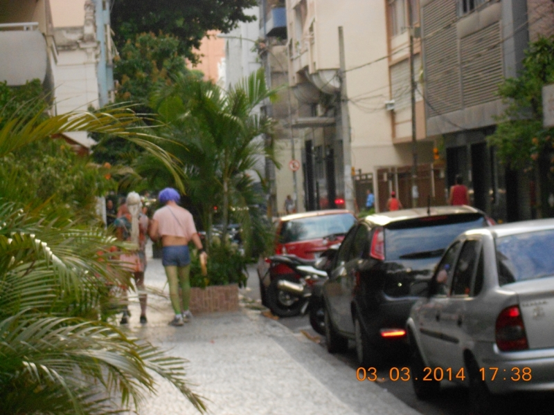 Рио-Буэнос-Айрес-Монтевидео-карнавал в Рио 2014