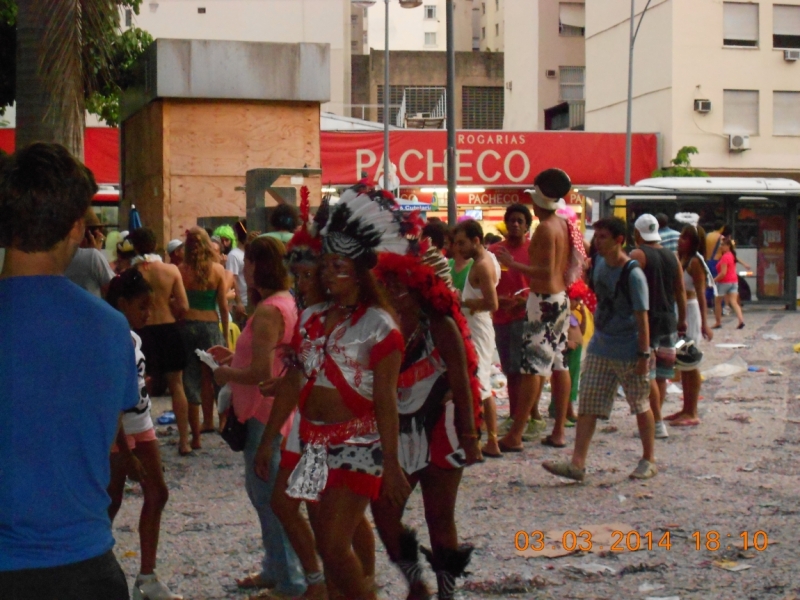 Рио-Буэнос-Айрес-Монтевидео-карнавал в Рио 2014