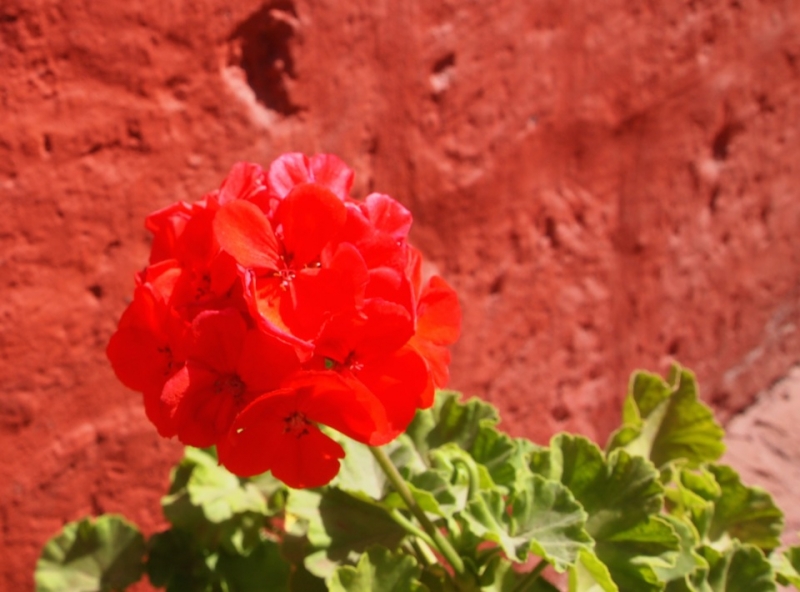 Перу за 11 дней, апрель 2014