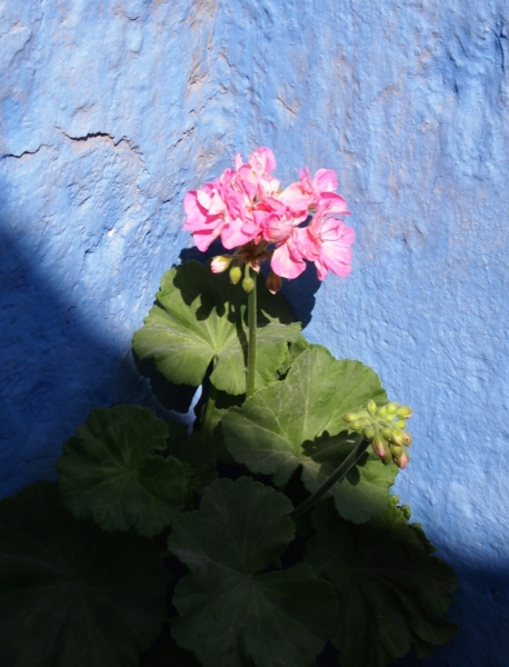 Перу за 11 дней, апрель 2014