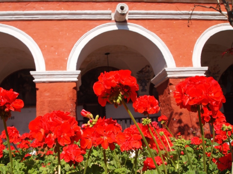 Перу за 11 дней, апрель 2014