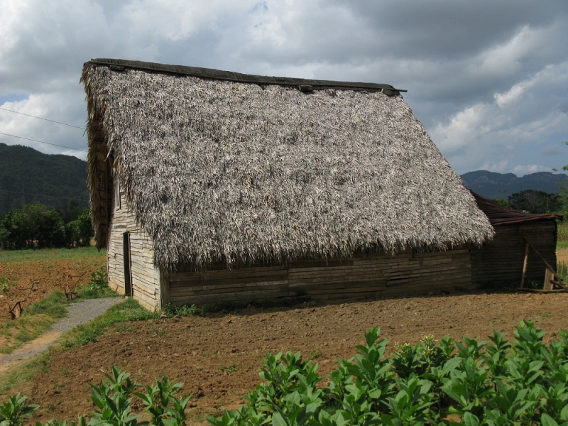 Куба