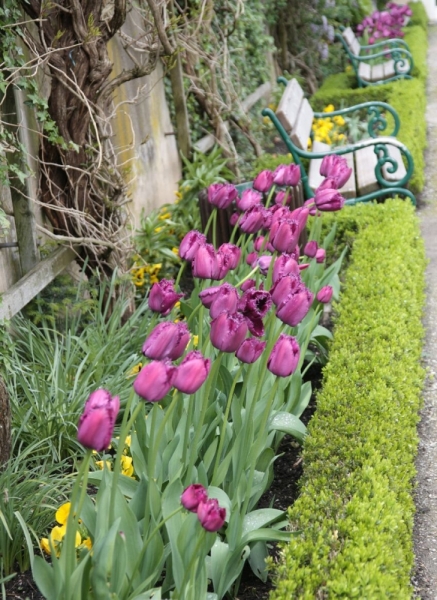 Sil-mariel! Поздравим милую покорительницу Планеты!