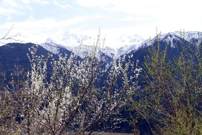 Весна: Сванетия+Тблилиси+Баку(поезд, бюджетно)