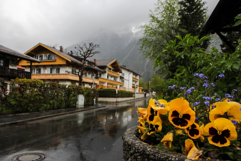 Майская Бавария