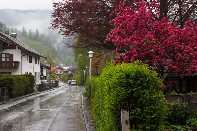 Майская Бавария