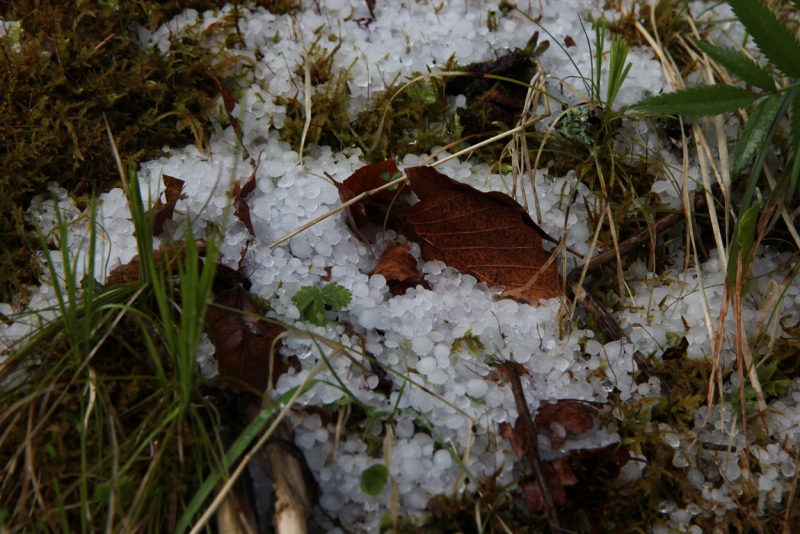 Майская Бавария