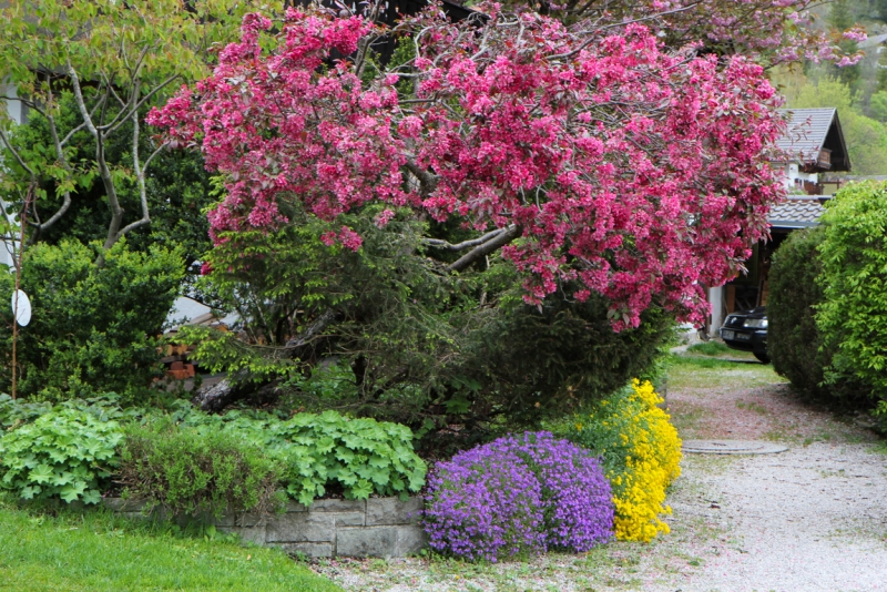 Майская Бавария