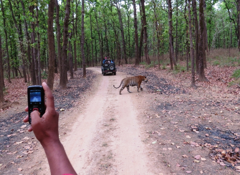 краткий фотоотчет по нац паркам индии