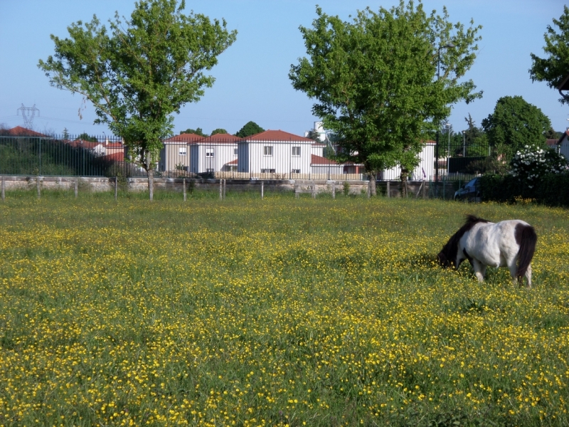 Галопом по Европе. 11 дней.