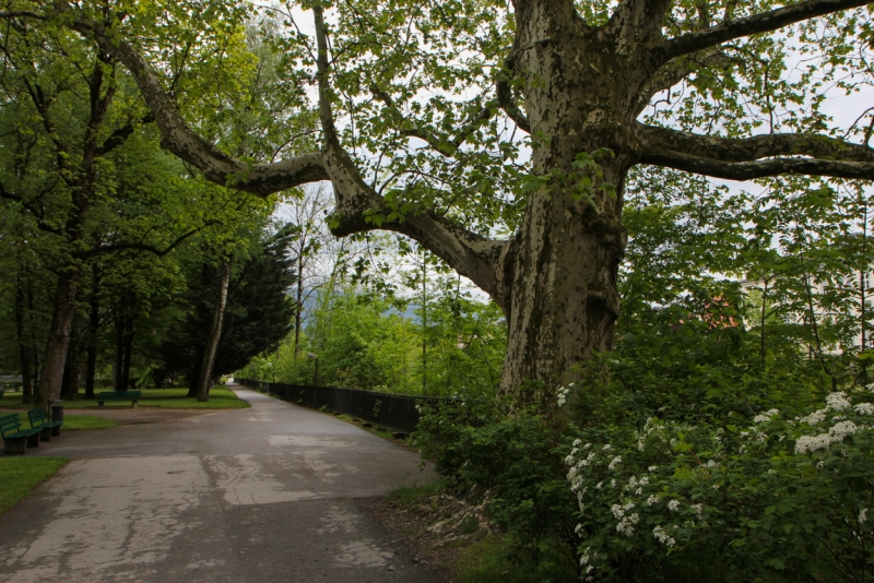 Майская Бавария