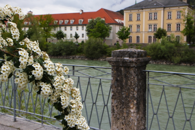 Майская Бавария