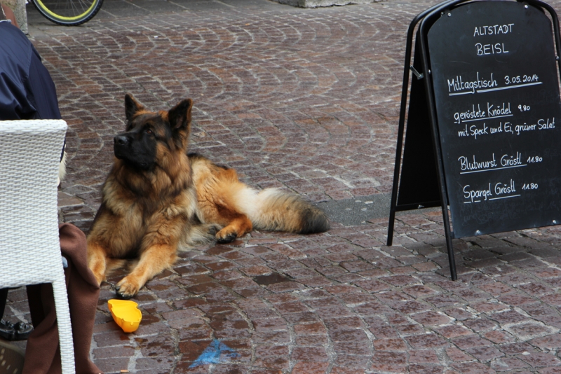 Майская Бавария