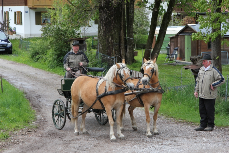 Майская Бавария