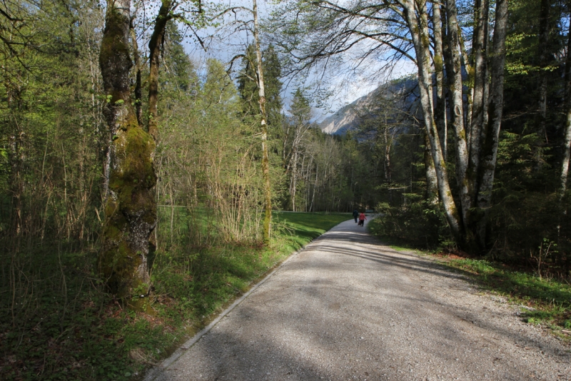 Майская Бавария