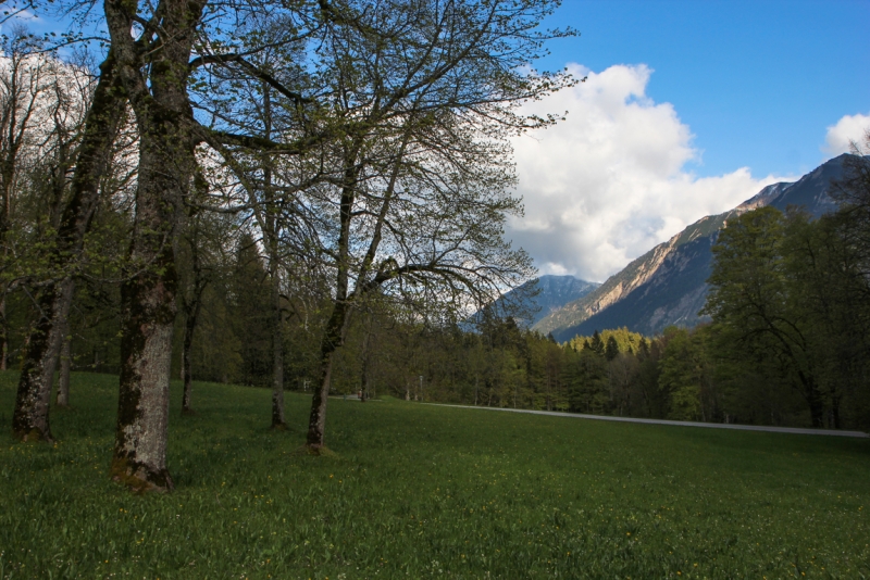 Майская Бавария