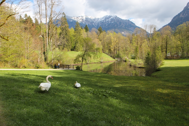 Майская Бавария